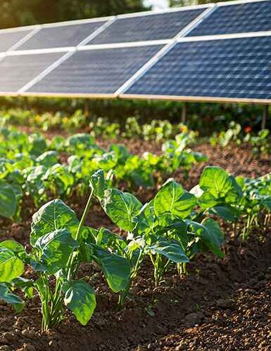 agrivoltaïsme Var
