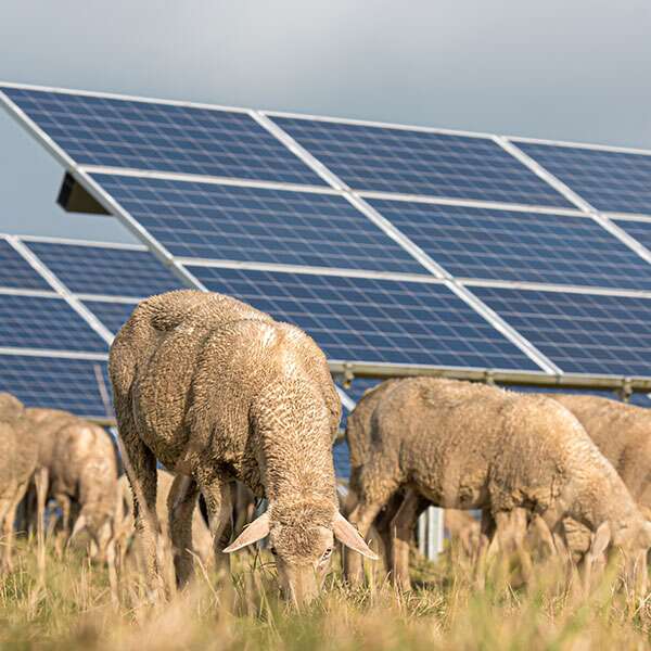 Photovoltaïque bâtiment pro et agricole