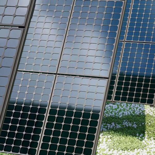 panneaux photovoltaïques au sol