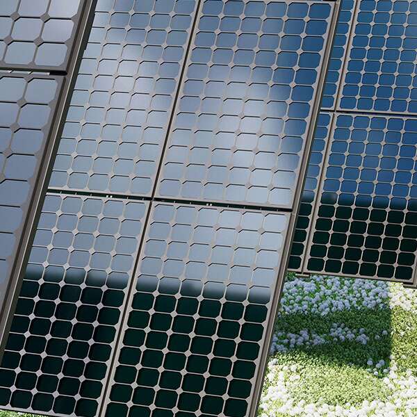 panneaux photovoltaïques au sol