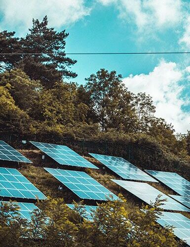 panneaux solaires sol pour les pros