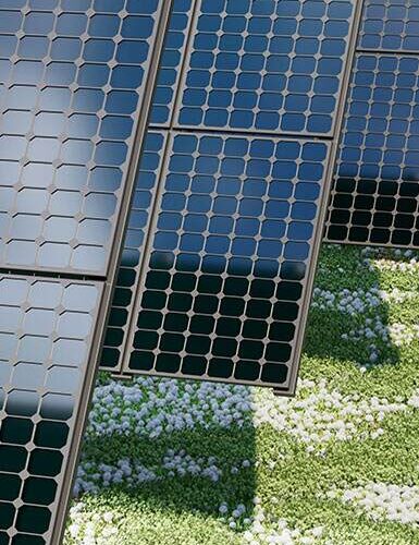 Panneaux solaires sol var